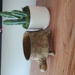Anthropologie Turtle pot